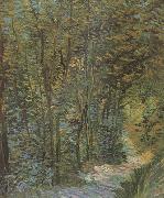Vincent Van Gogh Path in the Woods (nn04) china oil painting artist